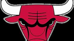 Chicago Bulls Stats & Leaders - NBA