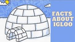 interesting facts about igloos