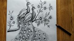 how to draw a peacock step by step,easy peacock drawing for beginners,how to draw peacock by pencil,
