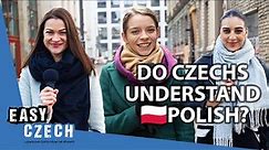 Do Czechs Understand Polish? | Easy Czech 20