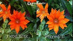 Nexus 5X vs iPhone 6s Camera Test Comparison