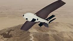 US sends drones and Stingers to Ukraine