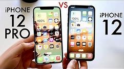iPhone 12 Vs iPhone 12 Pro In 2022! (Comparison) (Review)