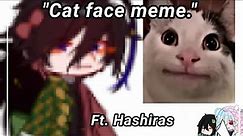 | Cat face meme | Kny | Ft. Hashiras | Read Desc | ♡♡ |