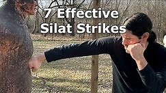 7 Silat Strikes to Kick Your Opponent's A** - Street Fighting Techniques!