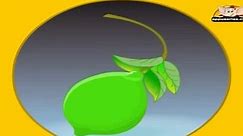 Fruits & Vegetables - Difference Between Fruits & Vegetables - Kids Animation Learn Series
