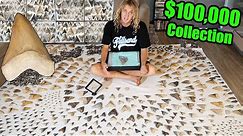 I Found $100,000 In Megalodon Shark Teeth In Florida (My Collection)