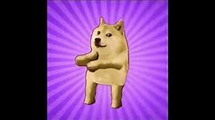 Doge Dance Meme