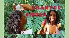 Washing My Hair With Shampoo Ginger (Zingiber Zerumbet)
