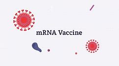 mRNA Vaccine Educational Video from the American Society of Gene and Cell Therapy