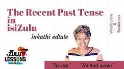 Past Tense Grammar - Inkathi Edlulile - How to speak isiZulu - Beginner Zulu Lessons with Thando
