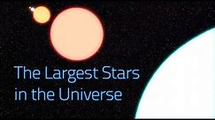 The Largest Stars in the Known Universe