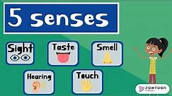 The Five Senses for Kids | Sight, Taste, Smell, Touch and Hearing