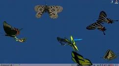 butterflies 3D screensaver
