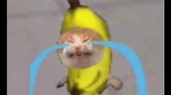 Banana Cat Crying Meme Template | sound effect