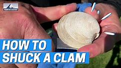 How to Shuck Open a Clam with North Coast Seafoods