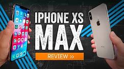 iPhone XS Max Review: The Phone I Hate To Love