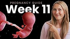 11 Weeks Pregnant | Week By Week Pregnancy