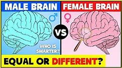 Male Brain vs Female Brain: Differents between male and female brains -men's brain and woman's brain