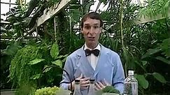 Bill Nye- The Science Guy - S02E06 - Food Web - video Dailymotion