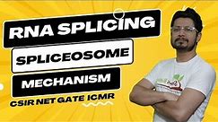 RNA splicing and processing | RNA splicing mechanism | spliceosome