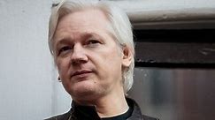 Clerical error reveals charges against Assange