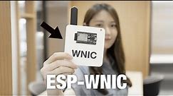 ESP-WNIC: Espressif’s Wireless Network Interface Controller