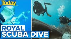 Prince William and Kate’s secret scuba diving date with sharks in Belize | Today Show Australia