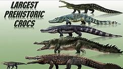 10 Biggest Prehistoric Crocodiles Ever Discovered (2021)