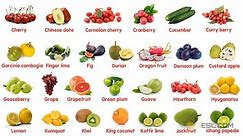100 Most Popular Fruits in The World | Learn Names of Different Types of Fruits in English