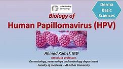 Biology of Human Papillomavirus HPV