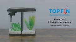 Top Fin Bowfront Dual Betta Tank 2.5 Gallon #Aquarium Setup | YouTube