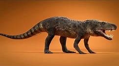Ornithosuchidae: Medium Sized Predators From The Late Triassic Period