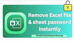 The Best Excel File & Sheet Password Remover -- FonesGo Excel Password Recovery(High Success Rate)