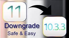 Downgrade iOS 11 Beta 2 to iOS 10.3.3.No Stuck.Safe & Easy!