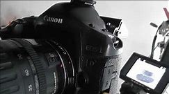 Canon EOS 1D MARK II N Stationary Set-Up