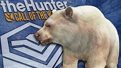 Hunting The ALBINO DIAMOND Brown Bear Leads To Another Cool Rare! Call of the wild