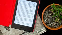 How to borrow e-books from your public library