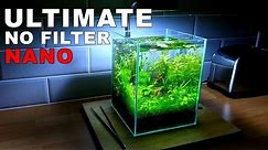 ULTIMATE NANO Aquarium (How To: 2 Gallon Fish Tank || No Filter, No Heater, No Ferts, No co2)
