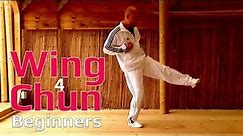 Wing Chun for beginners lesson 6:basic leg exercise/ static triple kick