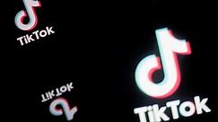 TikTok data usage reviewed 'very seriously' by Intelligence and Security Committee