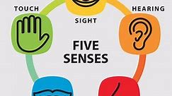 The Best Examples Of The 5 Senses And Descriptive Writing