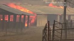 Northern California Wildfire Destroys 12 Structures