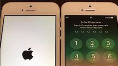 iPhone 5 on iOS 10 vs iPhone 5s on iOS 12 boot up test #shorts #ios10 #ios12 #iphone5 #iphone5s
