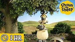 Shaun the Sheep 🐑 Fun on The Farm - Cartoons for Kids 🐑 Full Episodes Compilation [1 hour]