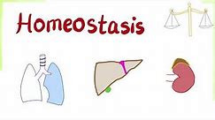 Homeostasis - How Your Body Keeps its Balance - Physiology Series