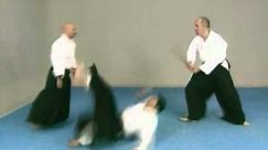 démonstration aikido