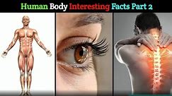 Human body interesting facts || Part 2 || Facts' Planet || 2024