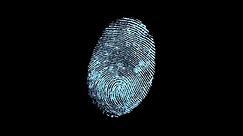 Crime Investigation Fingerprint Stop Motion Background Stock Footage Video (100% Royalty-free) 1050585736 | Shutterstock