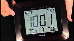 SkyScan 88901 Atomic Clock